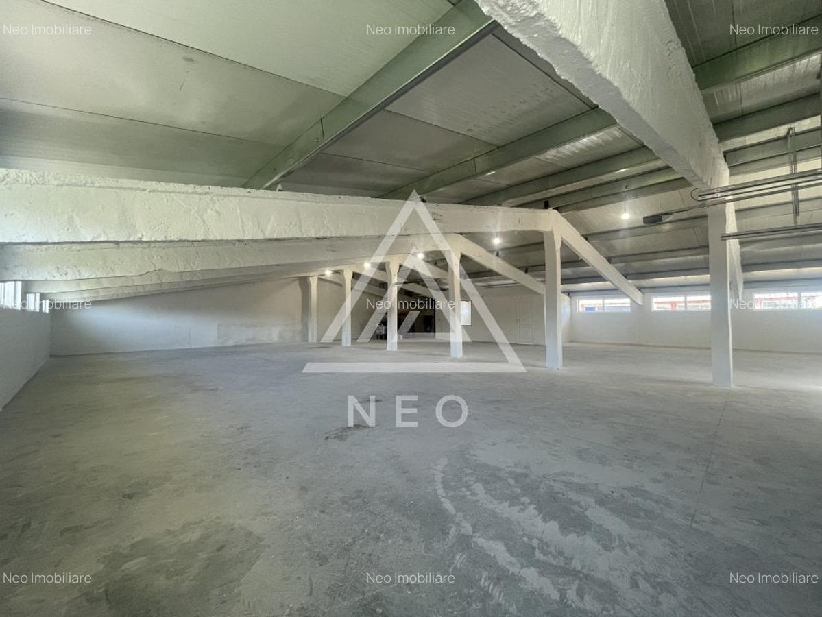 Hala | de inchiriat | Jucu de mijloc - 4