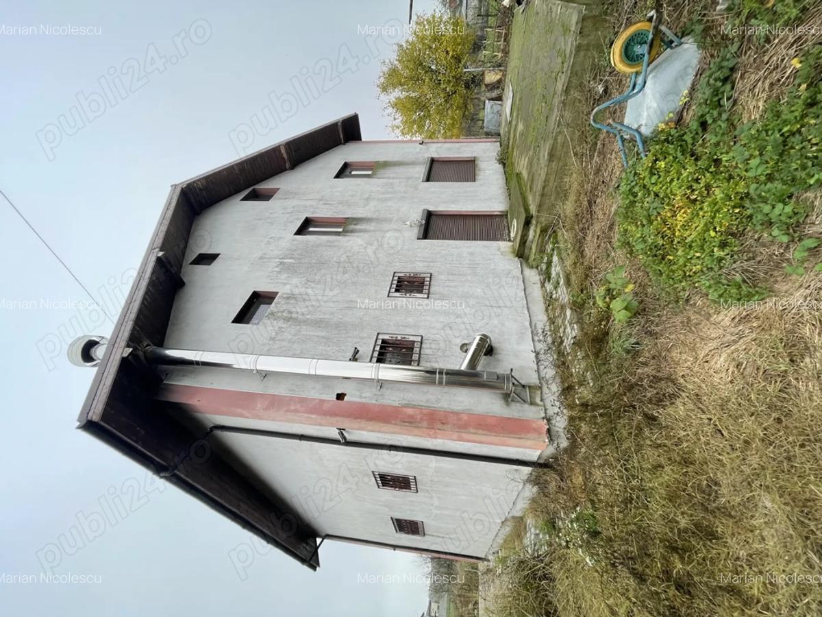 Casa Teghes-Domnesti - 5