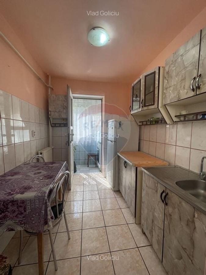Apartament cu 2 camere in Sagului - 2