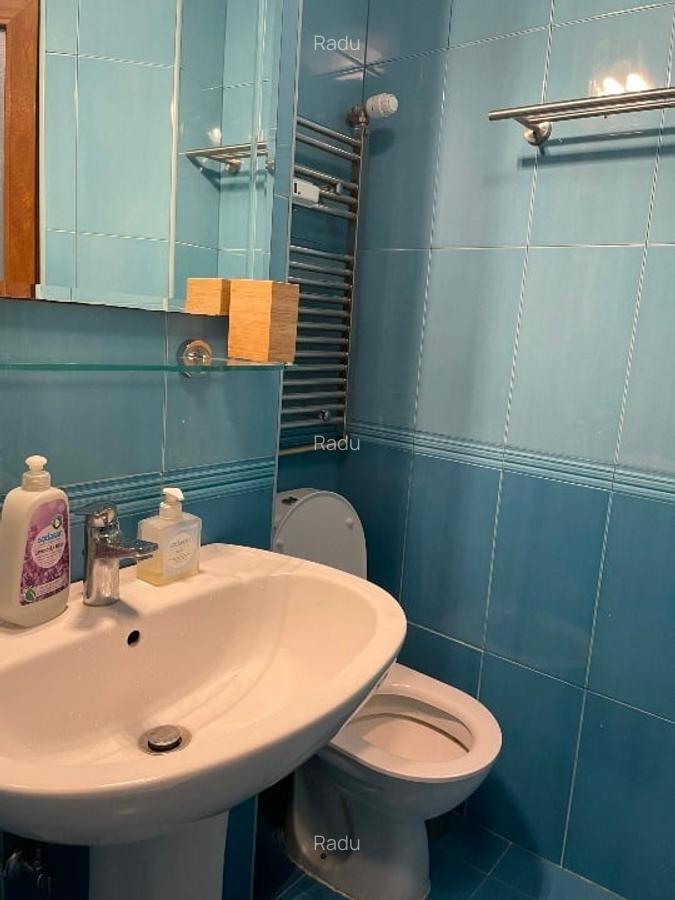 Inchiriere apartament 3 camere, Sala Palatului, Cismigiu, Calea Victoriei - 9