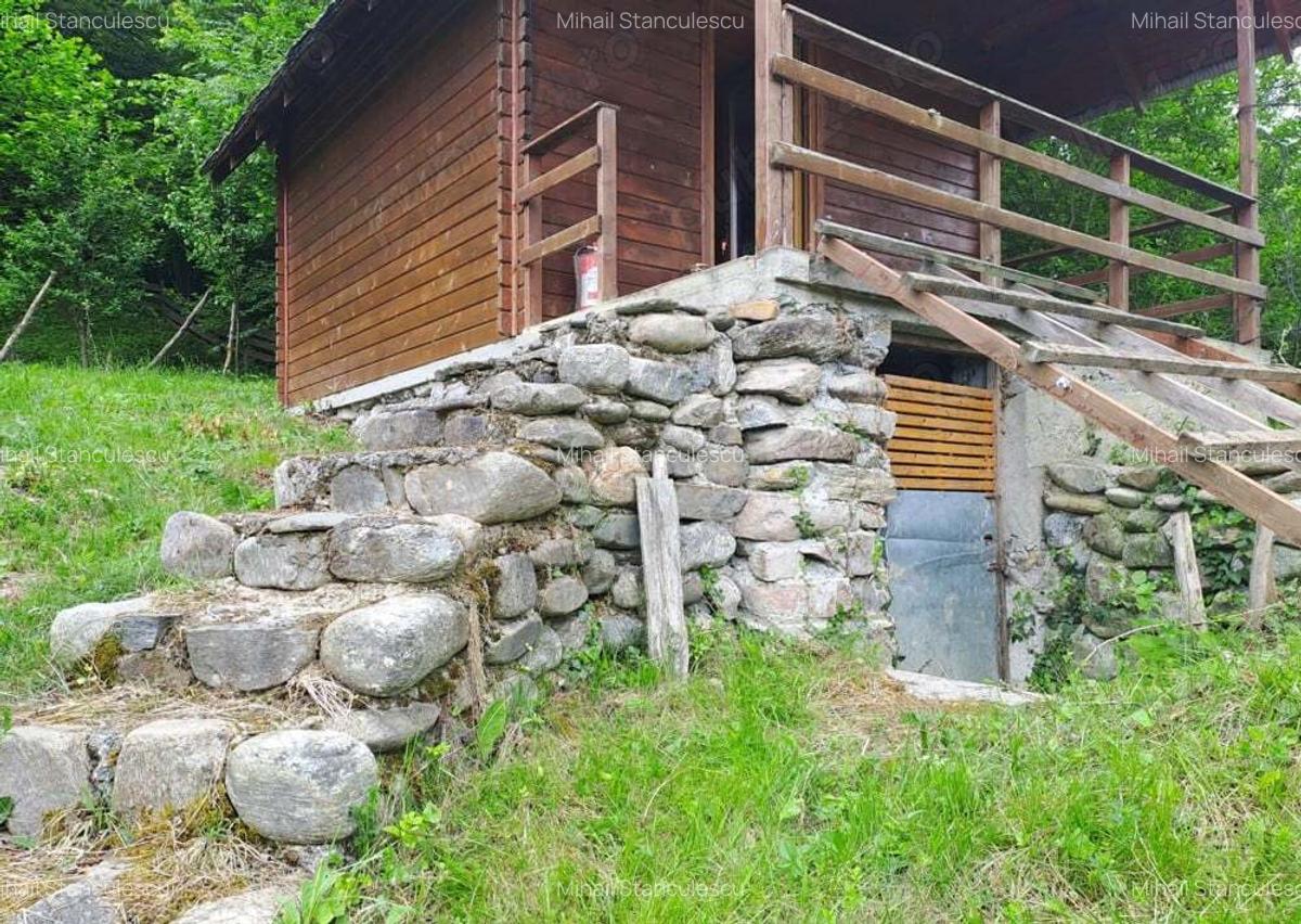 Cabana Bradulet s-a VANDUT - 6