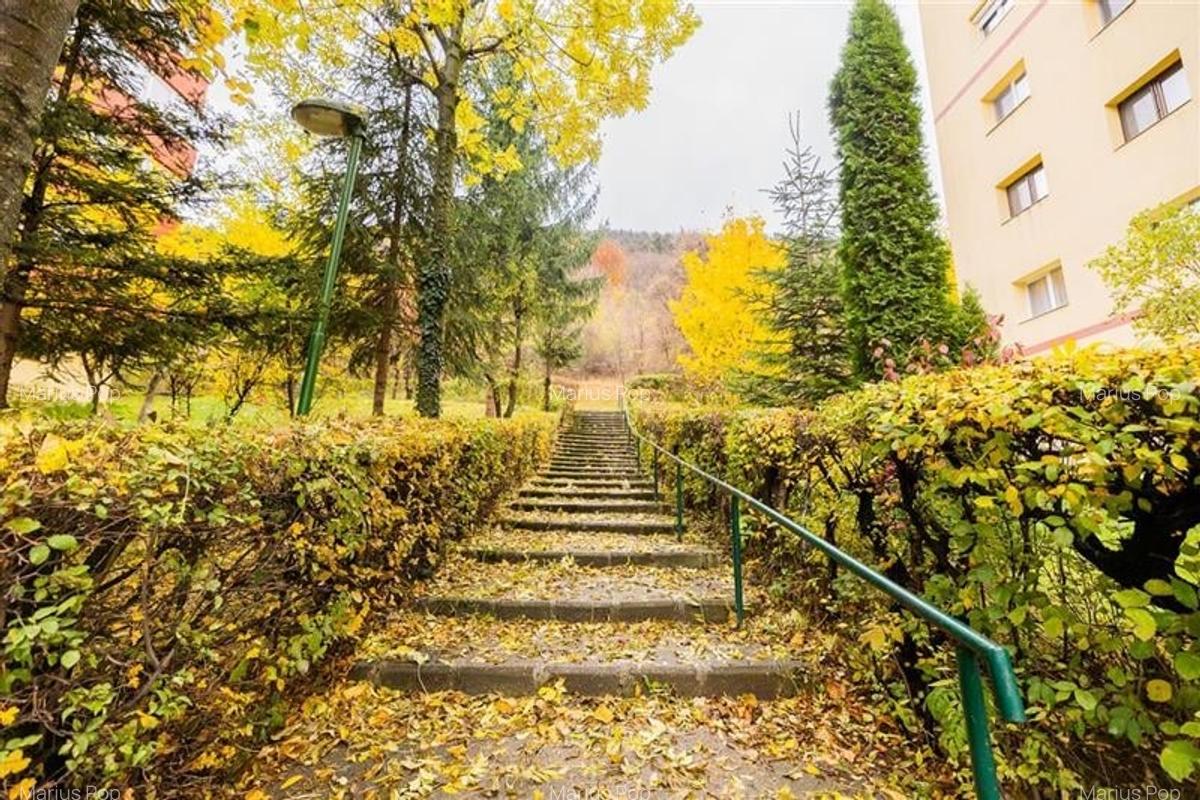 Apartament decomandat si cu doua bai, Racadau, Brasov - 20 Apartament decomandat si cu doua bai, Racadau, Brasov - 20