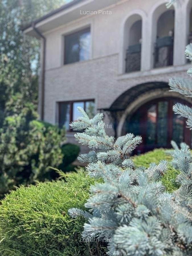 Особая вилла с садом площадью 1000 кв.м в жилом районе Куртя Домняска - 13