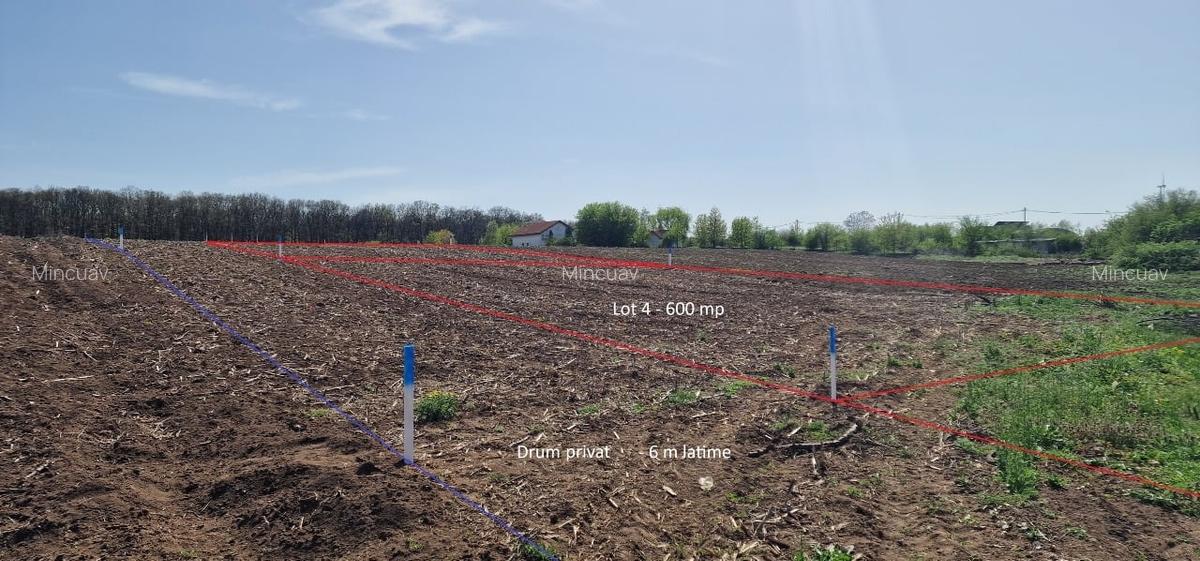 Snagov, Vladiceasca, Intravilan, zona de vile noi, canalizare, electricitate - 11