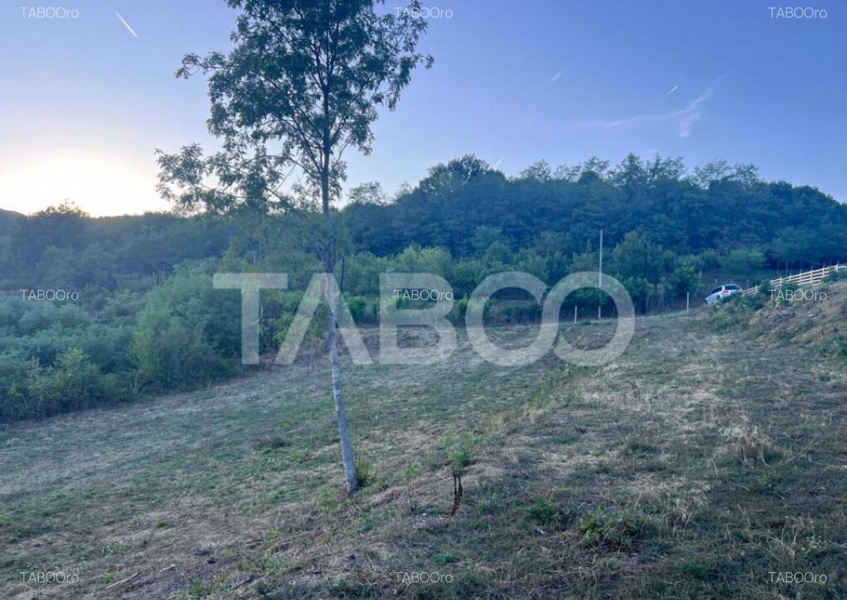 Teren intravilan 2162 mp cu deschidere de 33m Jiblea Veche C - 5