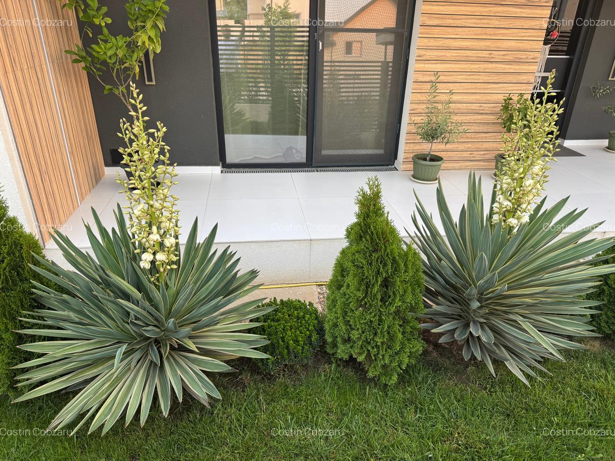 🏡 Casă Premium Parter • 4 Camere • Design Unic • Comuna Berceni - 10