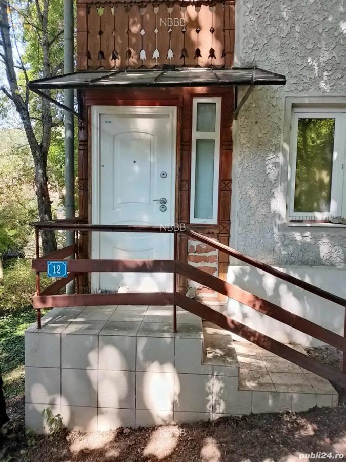 Vila de vacan?a de vanzare in Baile Balvanyos - 3