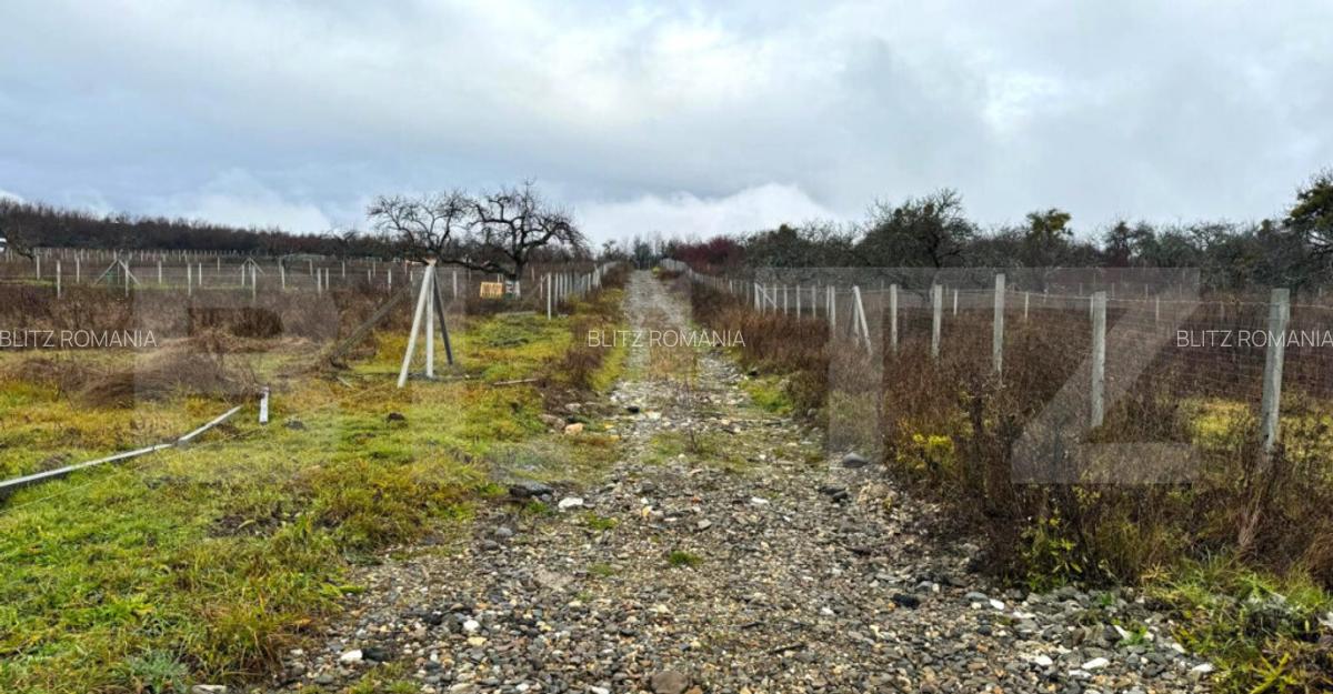 Teren extravilan de vanzare, 1.057 mp, zona Sigmir - 2