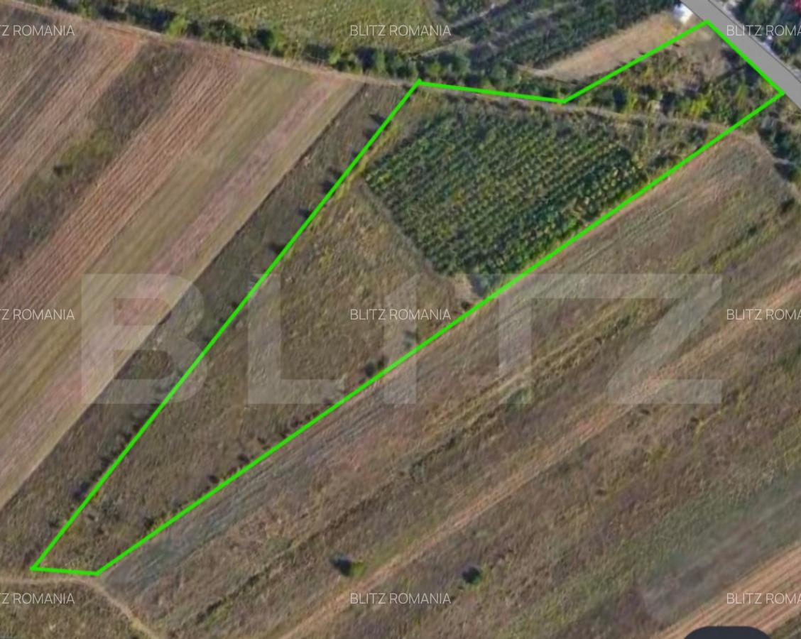 Teren 24.712 mp, parcelabil, zona Nord - 2