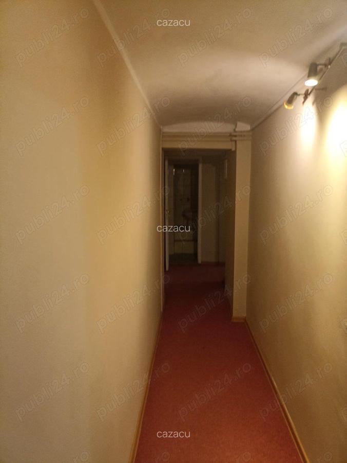 Spatiu pentru diverse activitati zona Balcescu - 5