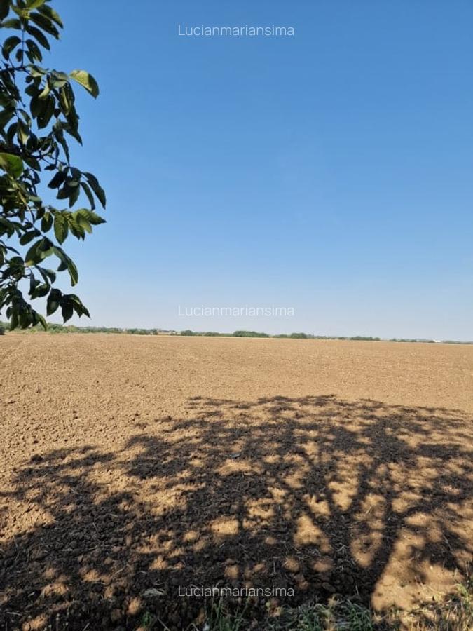 De vanzare! Teren (9100 mp) in Tunari! - 6