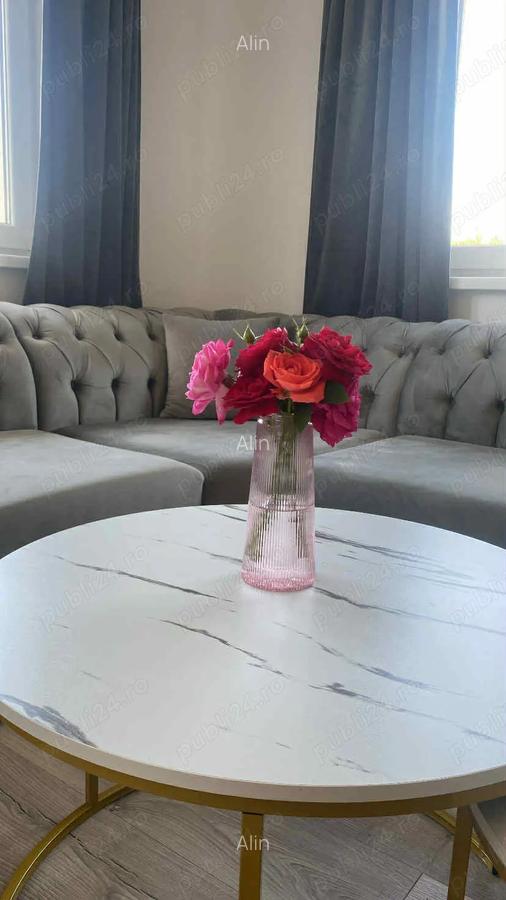 Casa noua de vanzare - 6