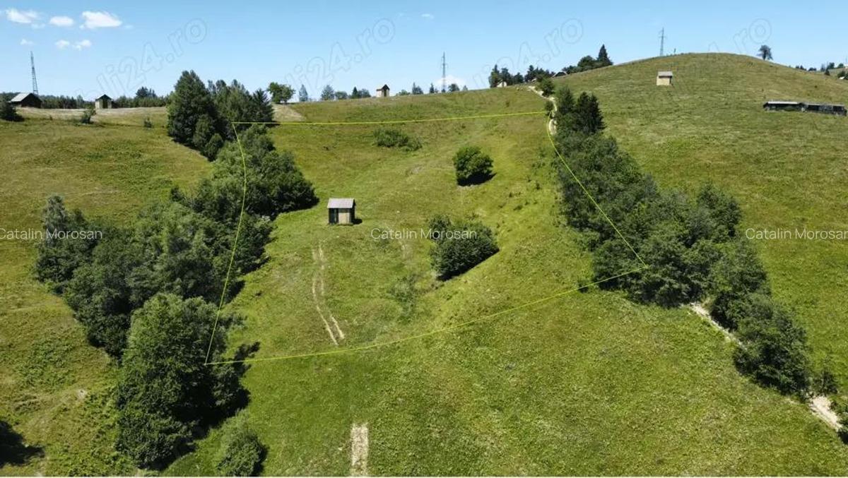 Teren in Bucovina 12399 mp Salatruc - Vama - 1