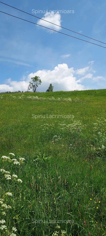 Vand casa 64mp+grajd 35mp+teren 6100mp, curent, apa, internet, deschidere la drum, in sat Glodu - 5