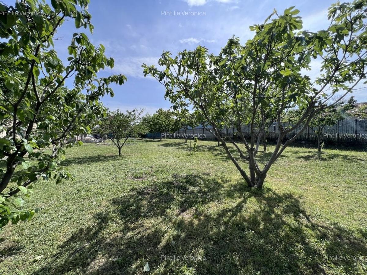 Teren 3500 mp Str Delfinului Foarte Aproape De Lacul Sutghiol - 35