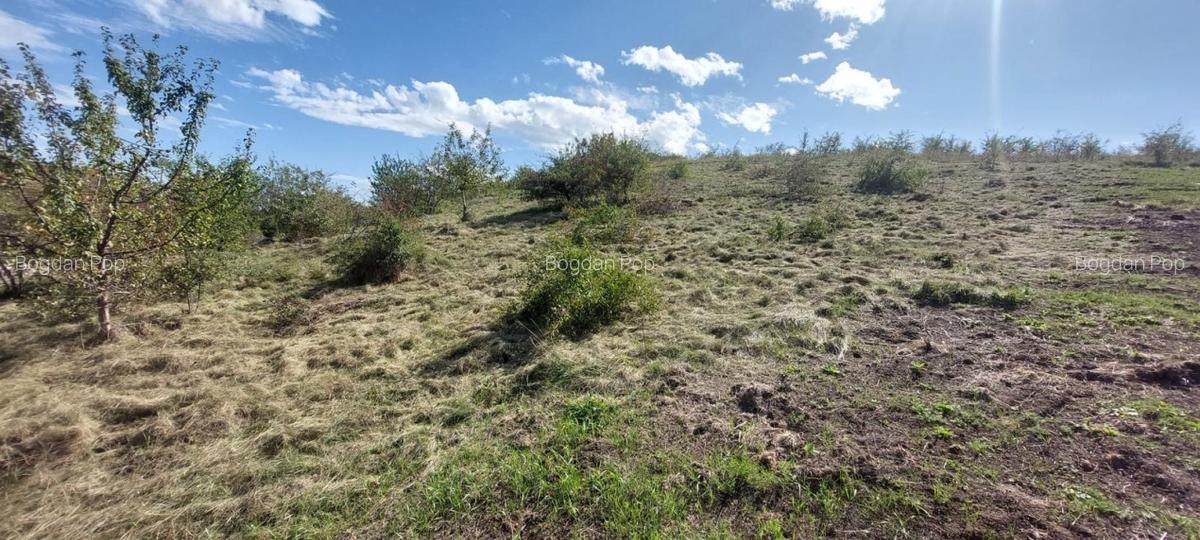 Teren intravilan 1214mp in Chinteni - zona centrala, strada Ion Creanga! - 3