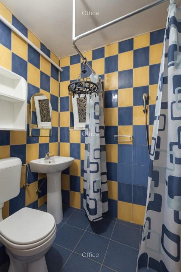 Apartament cu 2 camere de inchiriat in vila zona Caminelor Studentesti Zorilor - 5