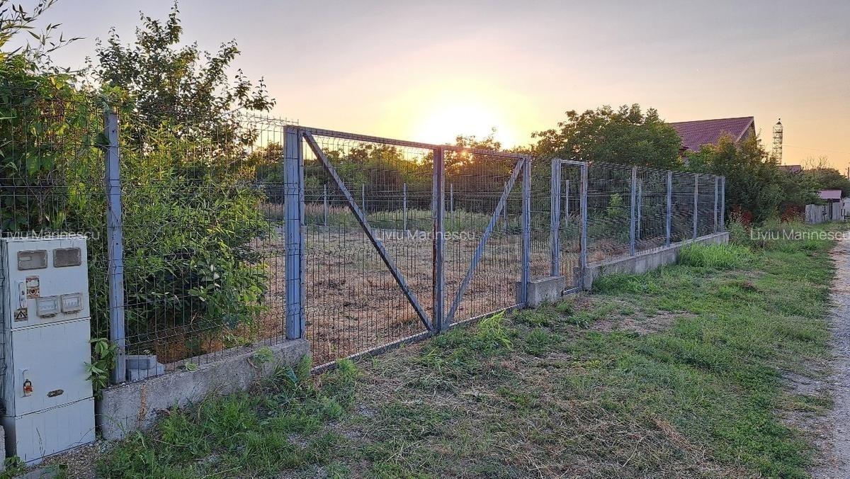 Teren intravilan Buftea, Cartier Flamanzeni, Intrarea Teilor nr. 36 - 4