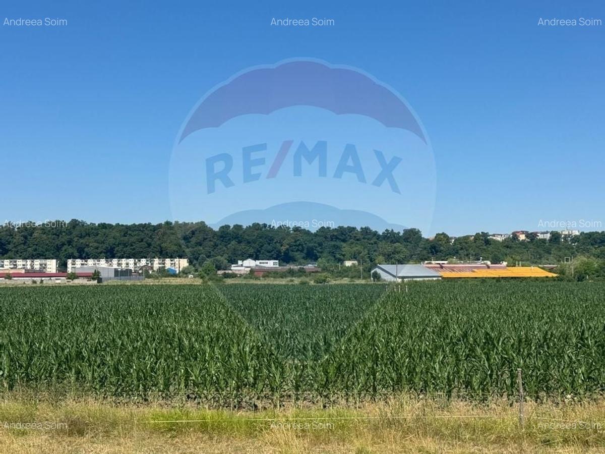 Vand teren Dej / Strada Dumbrava Rosie - 1
