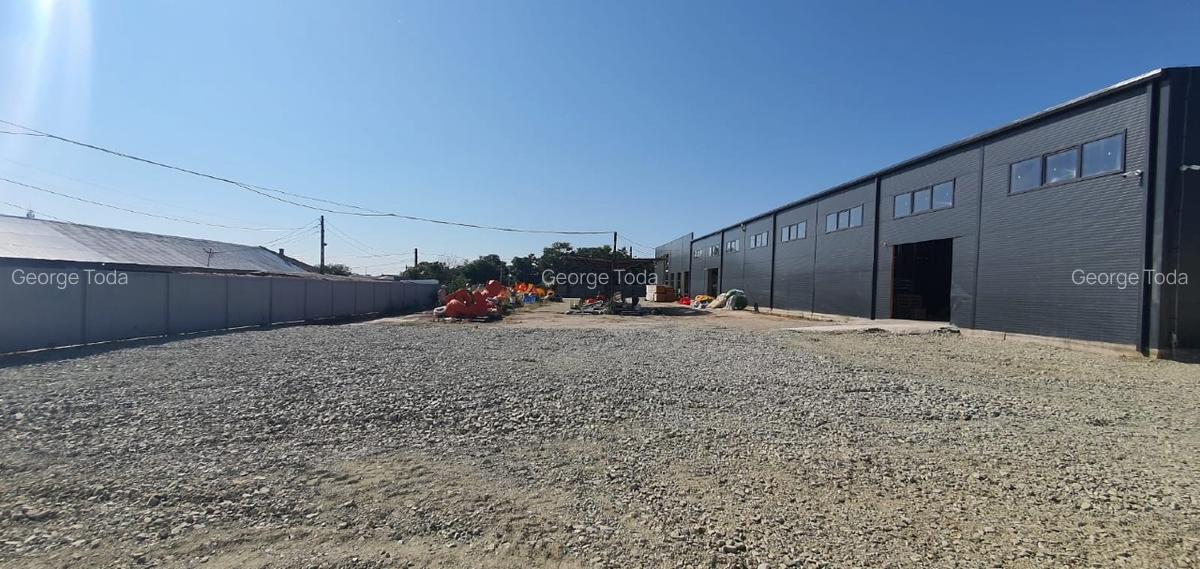 Hala moderna cu ISU, nod A4 Ovidiu 1600m2 - 6 Hala moderna cu ISU, nod A4 Ovidiu 1600m2 - 6