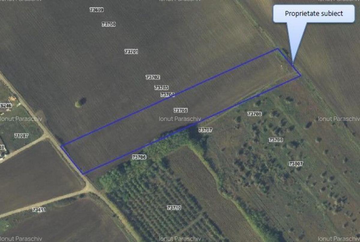 Teren Balteni, cota parte 1/4, ID: R2695268 - 6