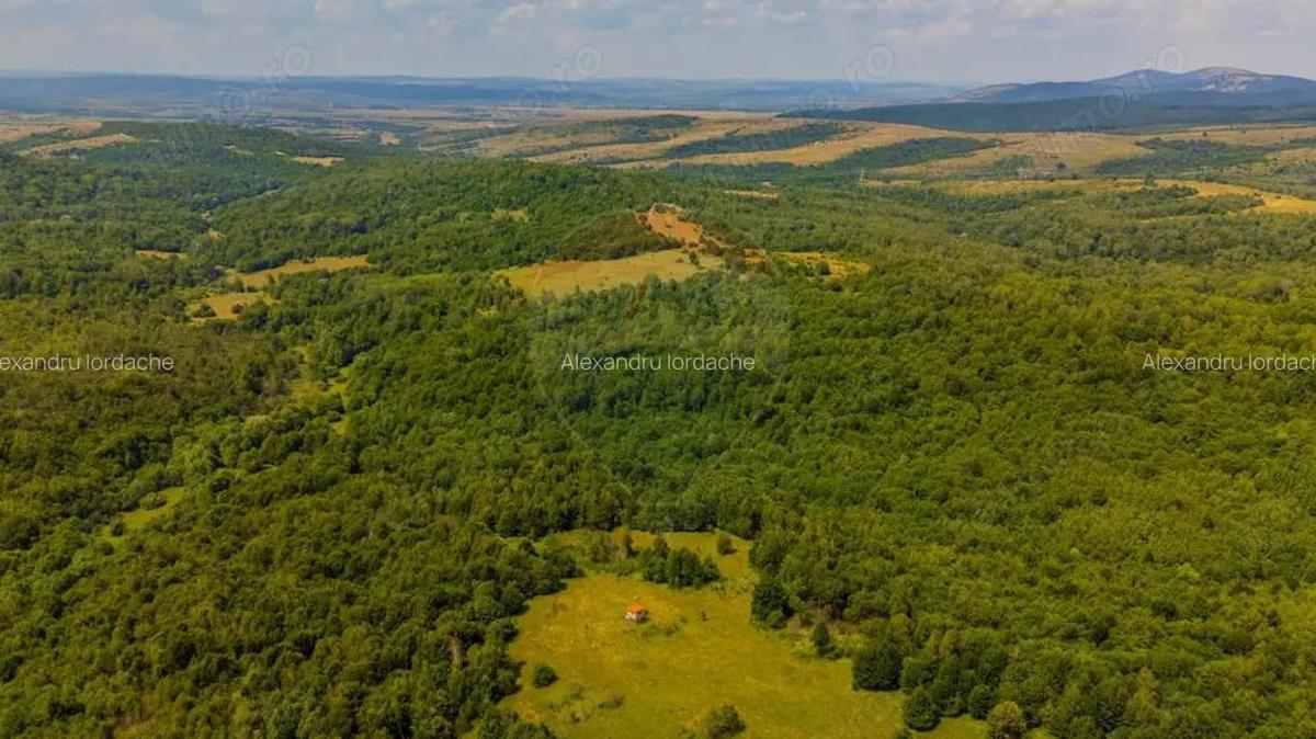 COMISION 0% Teren Grid/Inima Naturii/ Oportunitate de investi?ie - 16