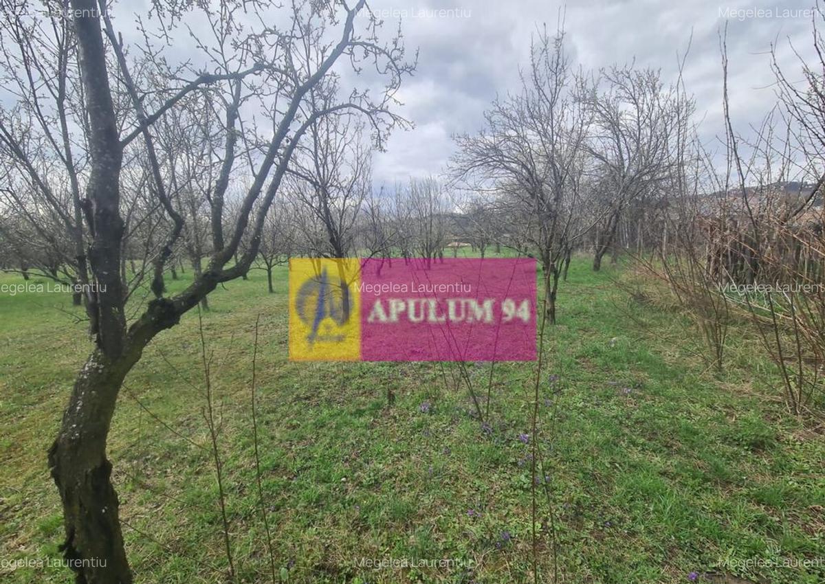 Teren de vanzare in Brebu - Zona Brebu Megiesesc - 10