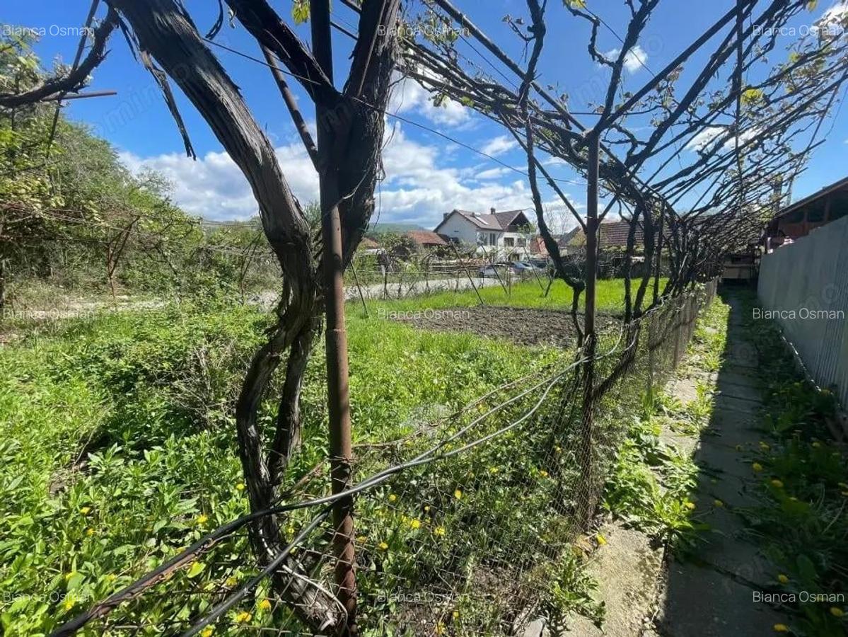 Vanzare proprietate in Novaci - langa supermarket Penny - 5