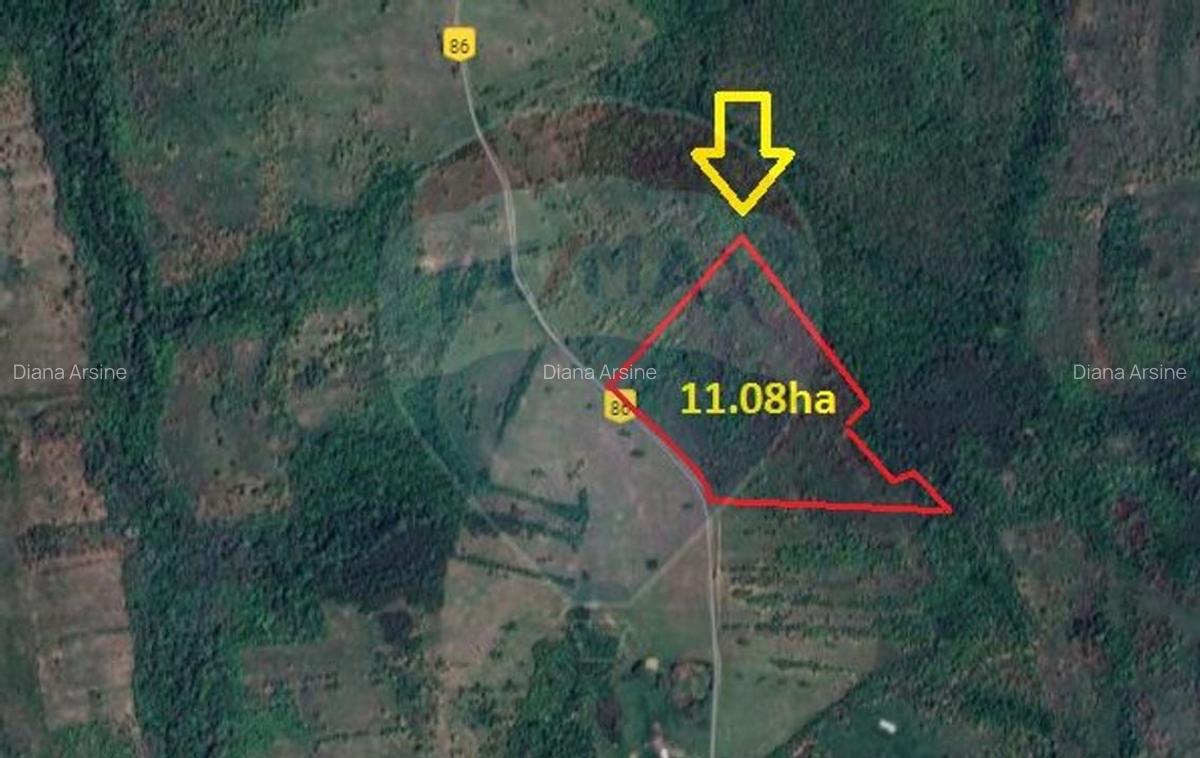 Teren extravilan situat in sat Spata(com. Bara) / Soseaua Principala - 3