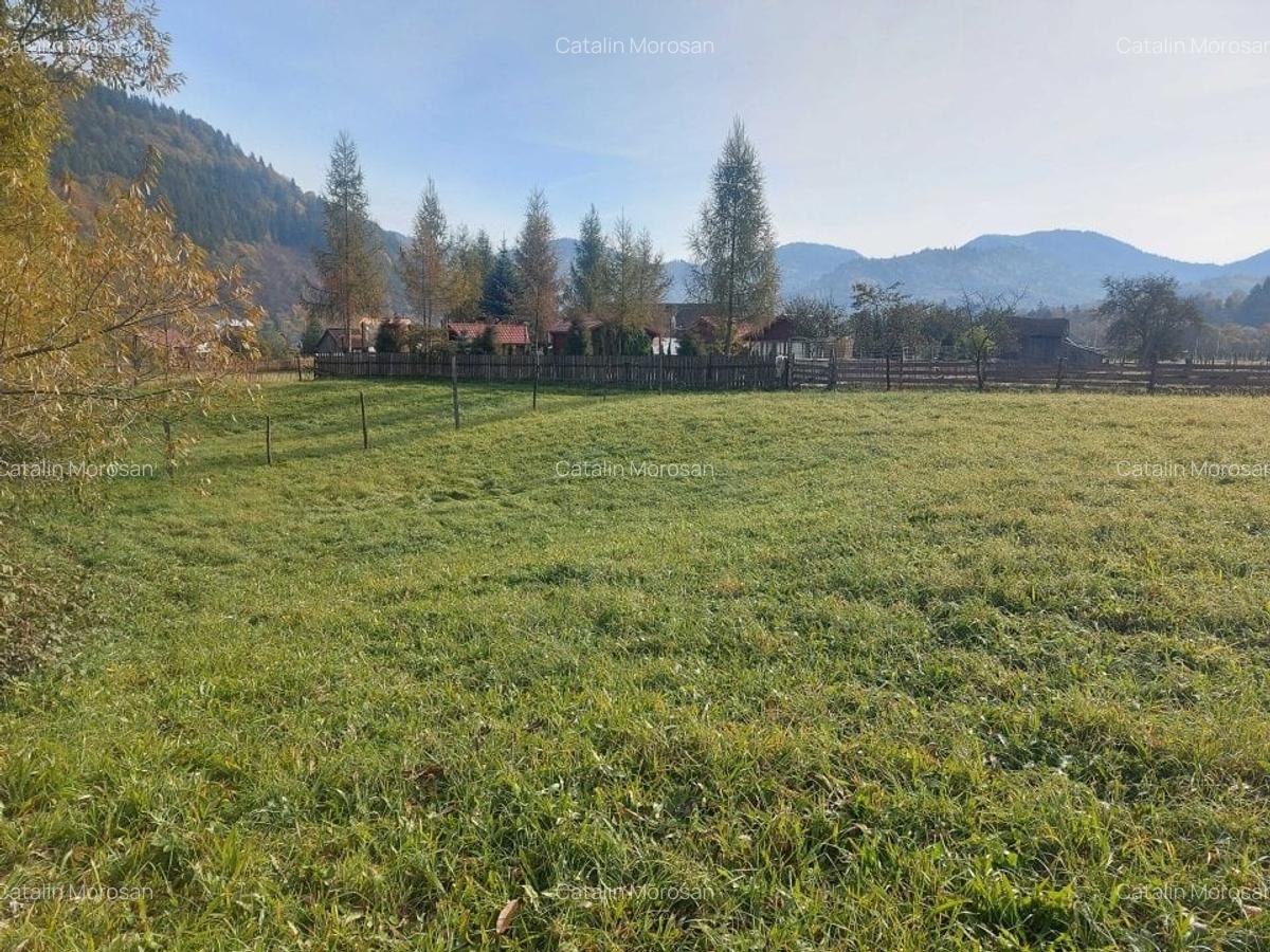 Spre vanzare teren 3662 mp in Campulung Moldovenesc - 10