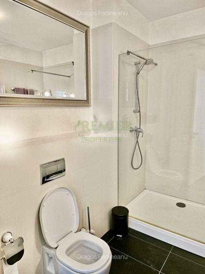 Baneasa Aerogarii de vanzare - 14