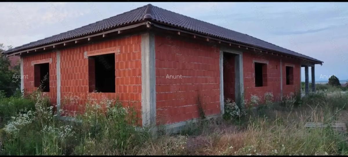 Casa 200 mp + teren 16,57 ari Viile Satu MARE sau schimb - 1