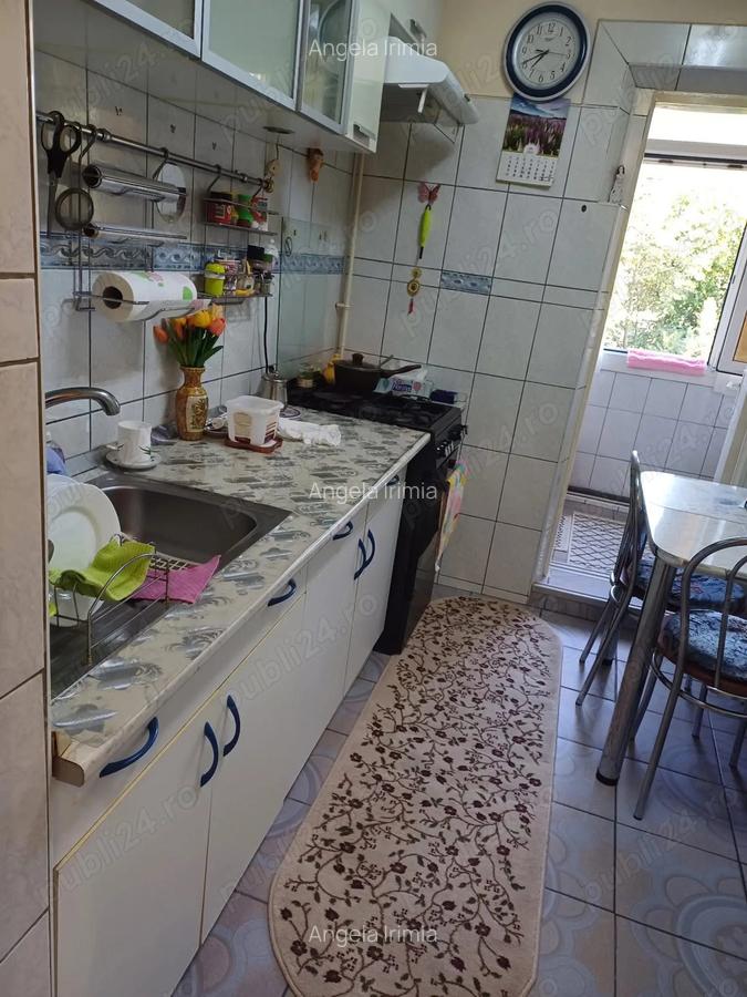 Gazda pentru o fata in Pscurari - 4