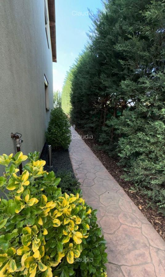 Duplex Confort ?i intimitate Dumbravi?a in fa?a - 6