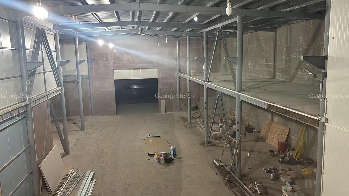 Hala / Birouri /Depozitare / Nicolae / Teclu Pallady - 5