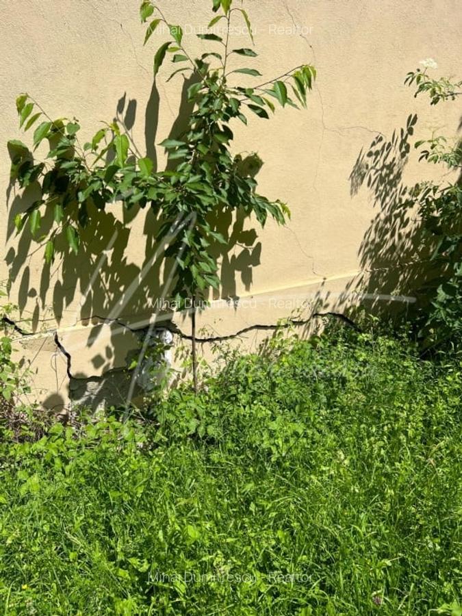Teren intravilan de 1740 mp cu constructie in Provita de Sus-PH. Casa gratis! - 19