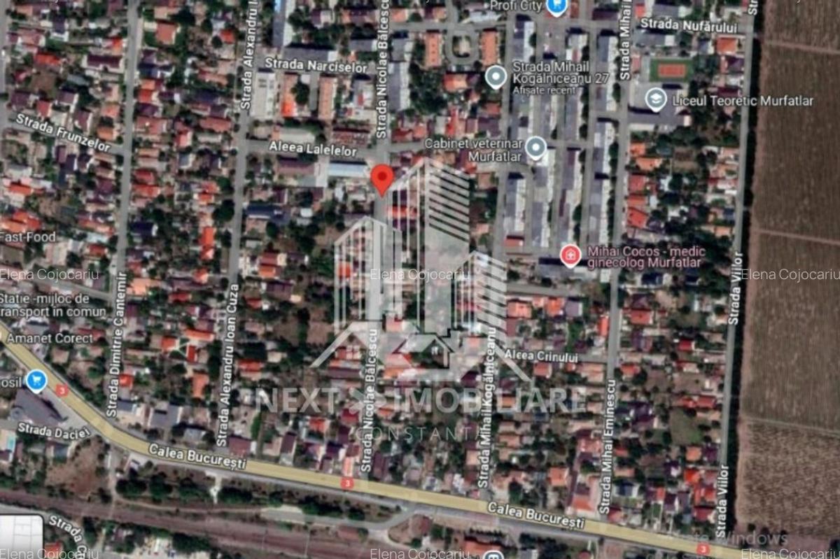 Teren Murfatlar, 895mp, constructii+ livada pomi - 4