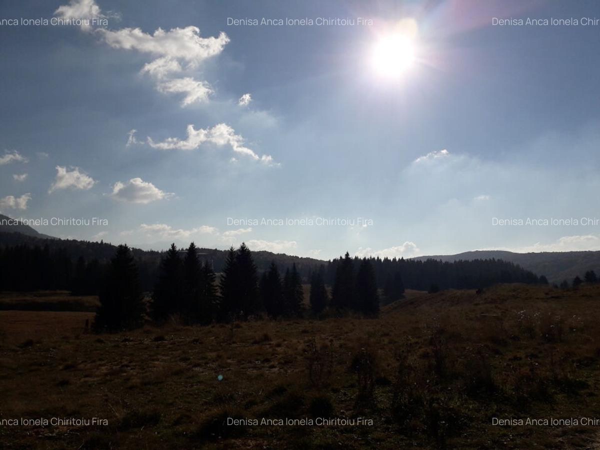 Ocazie unica la licitatie: Teren cu Potential Turistic Major in Poiana Brasov - 4