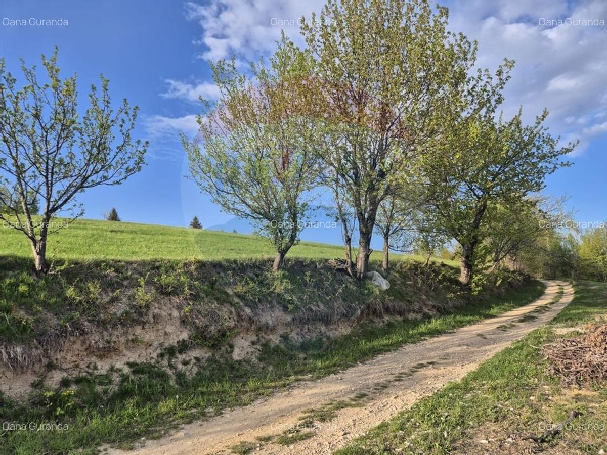 Teren Construcții intravilan de 11600 mp, în Poiana Mărului - 22