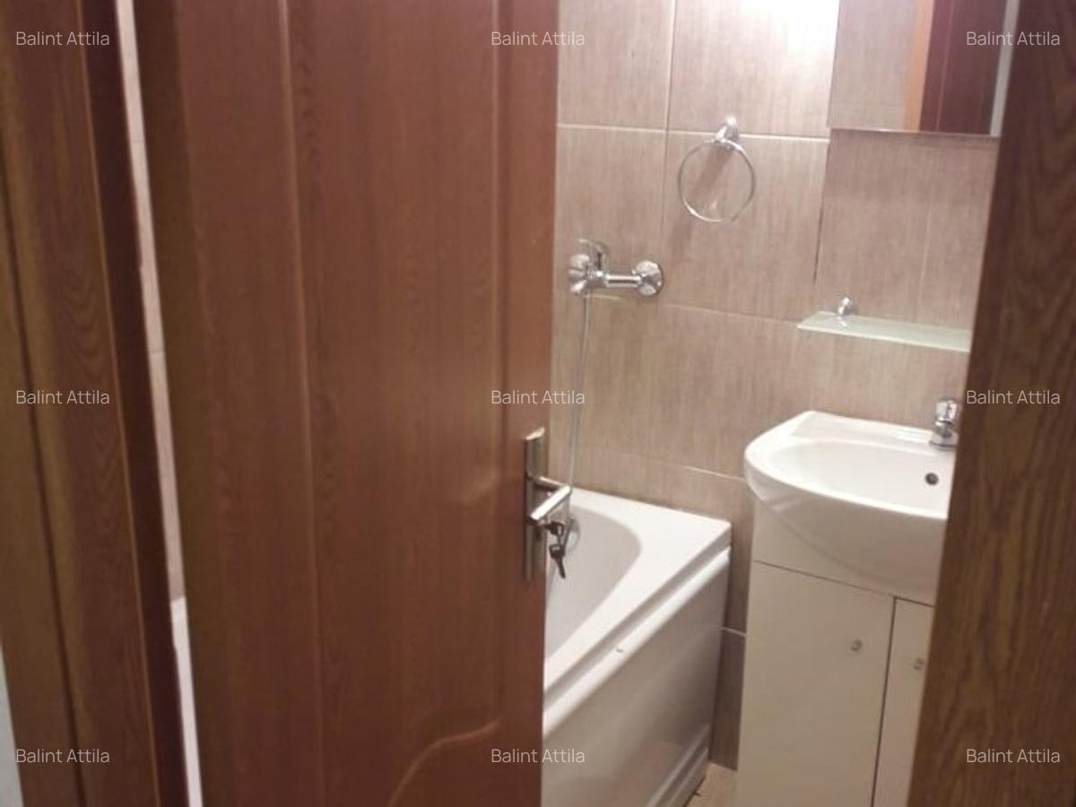 Sagului- Piata Doina 3 camere 400 euro - 4