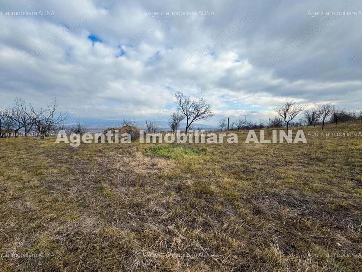 15 parcele de Teren intravilan in Deva, zona Calugareni, Strada Prunilor, Jud. Hd, cu PUZ, PUD, etc. - 7