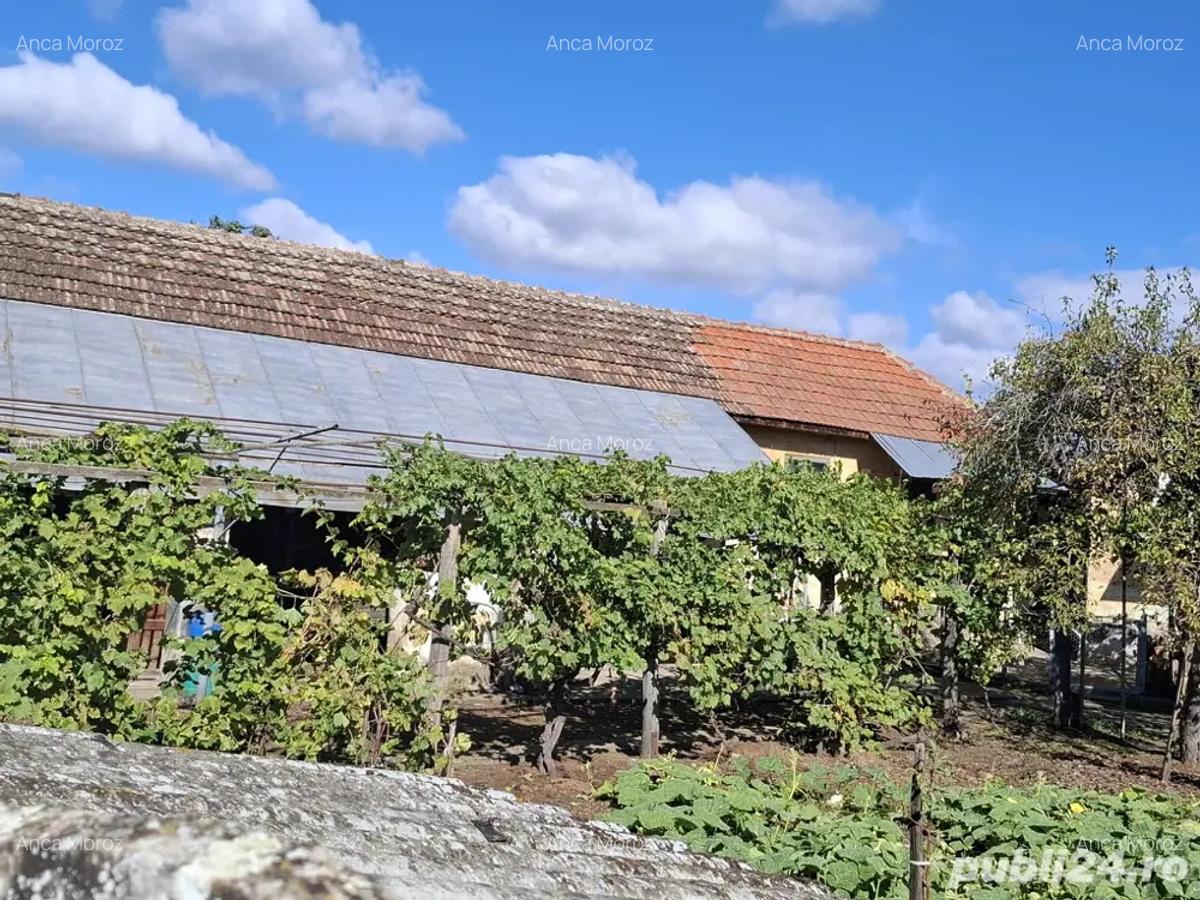 Casa cu teren 1480 mp, la 5 minute de Dunare Crivina, comuna Burila Mare, jude?ul Mehedin?i - 6