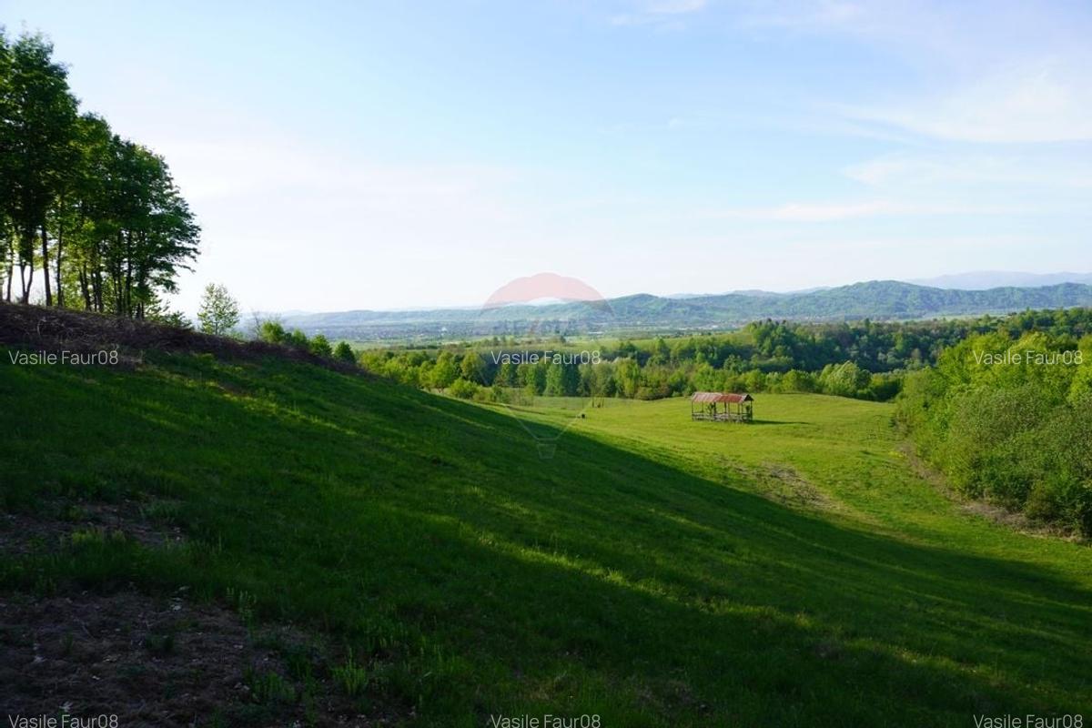 Teren 15,000mp Sighetu Marmatiei / Strada Mocanitei - 5