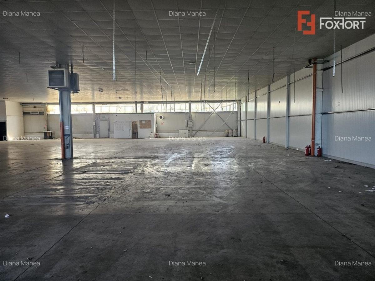 COMISION 0% Spatiu depozitare 1400 mp de inchiriat, zona Calea Lugojului - 5
