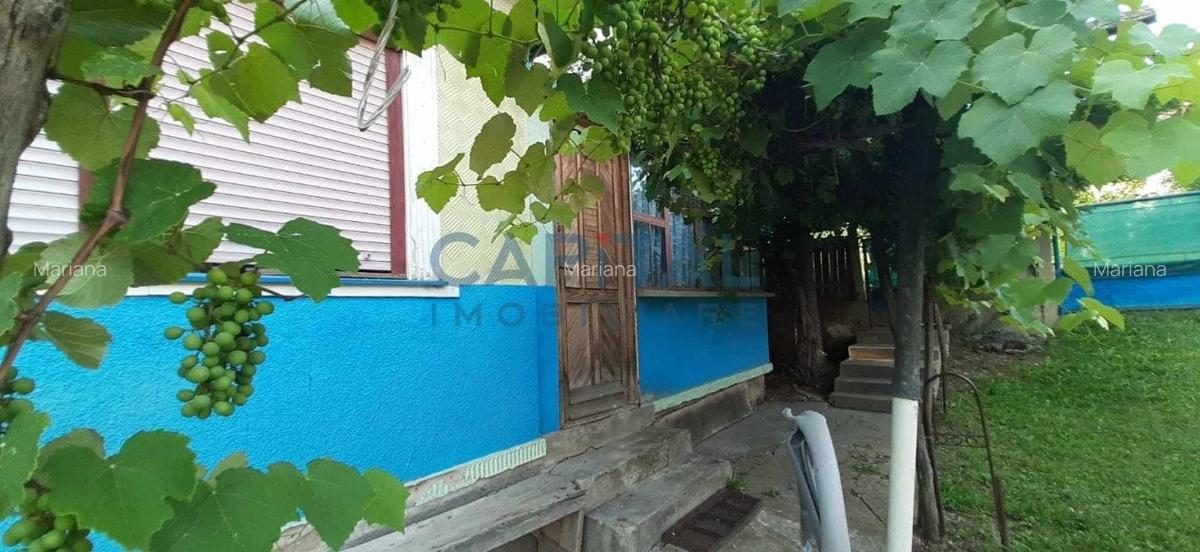 Teren 1933 mp cu casa demolabila, Pata, Apahida - 3
