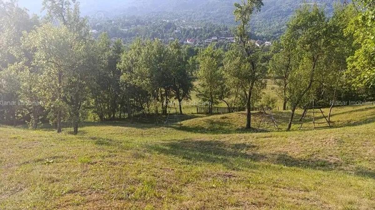 Super oferta! Teren 4874 mp in Arefu jud Arges - 5