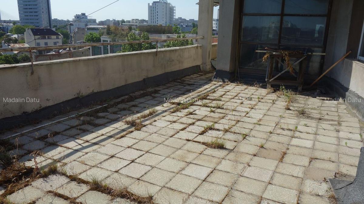 Calea  Victoriei-Piata Sfintii Voievozi: 171mp+55 mp terasa - 12