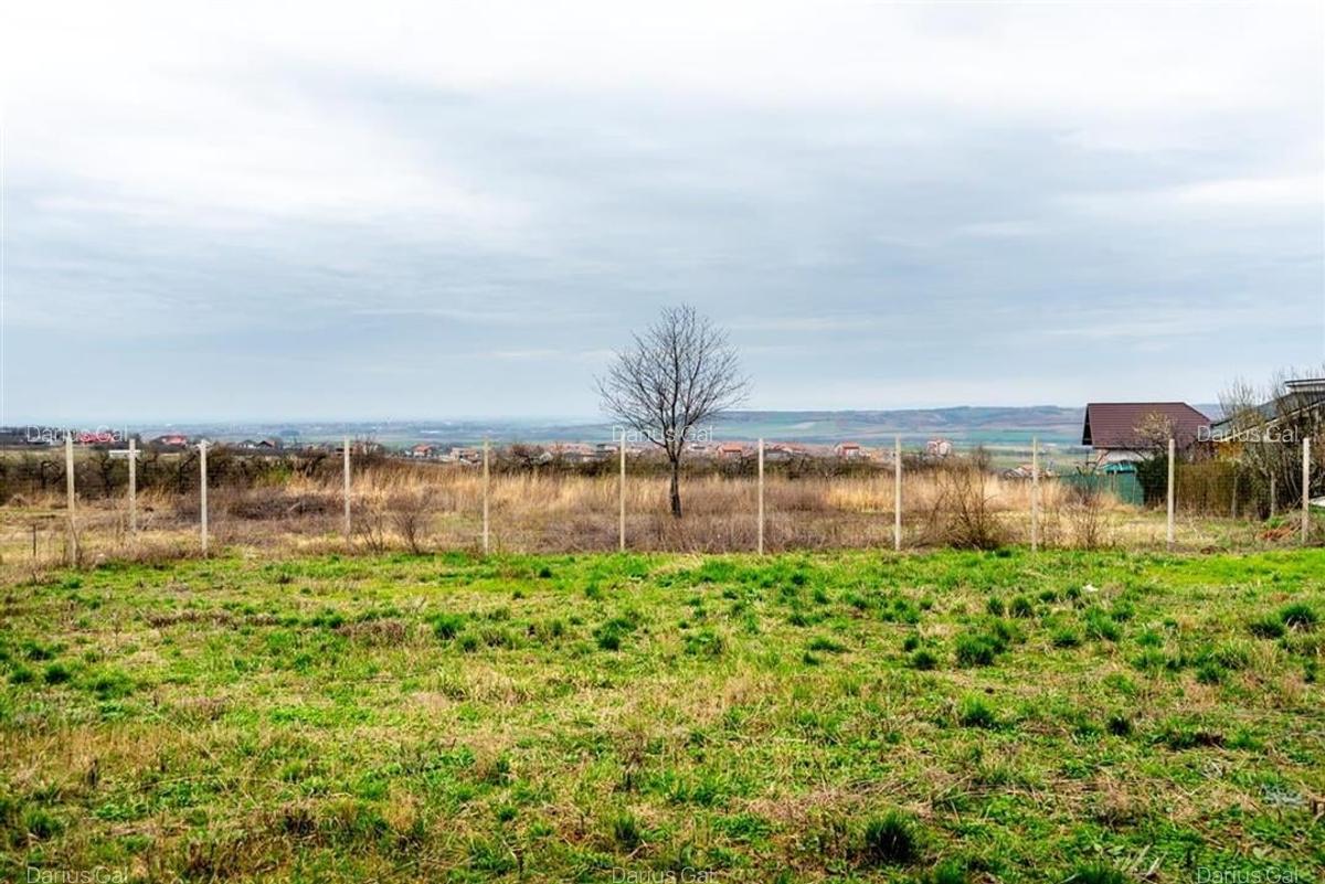 Teren Construcții intravilan de 535 mp, în Paleu - 3