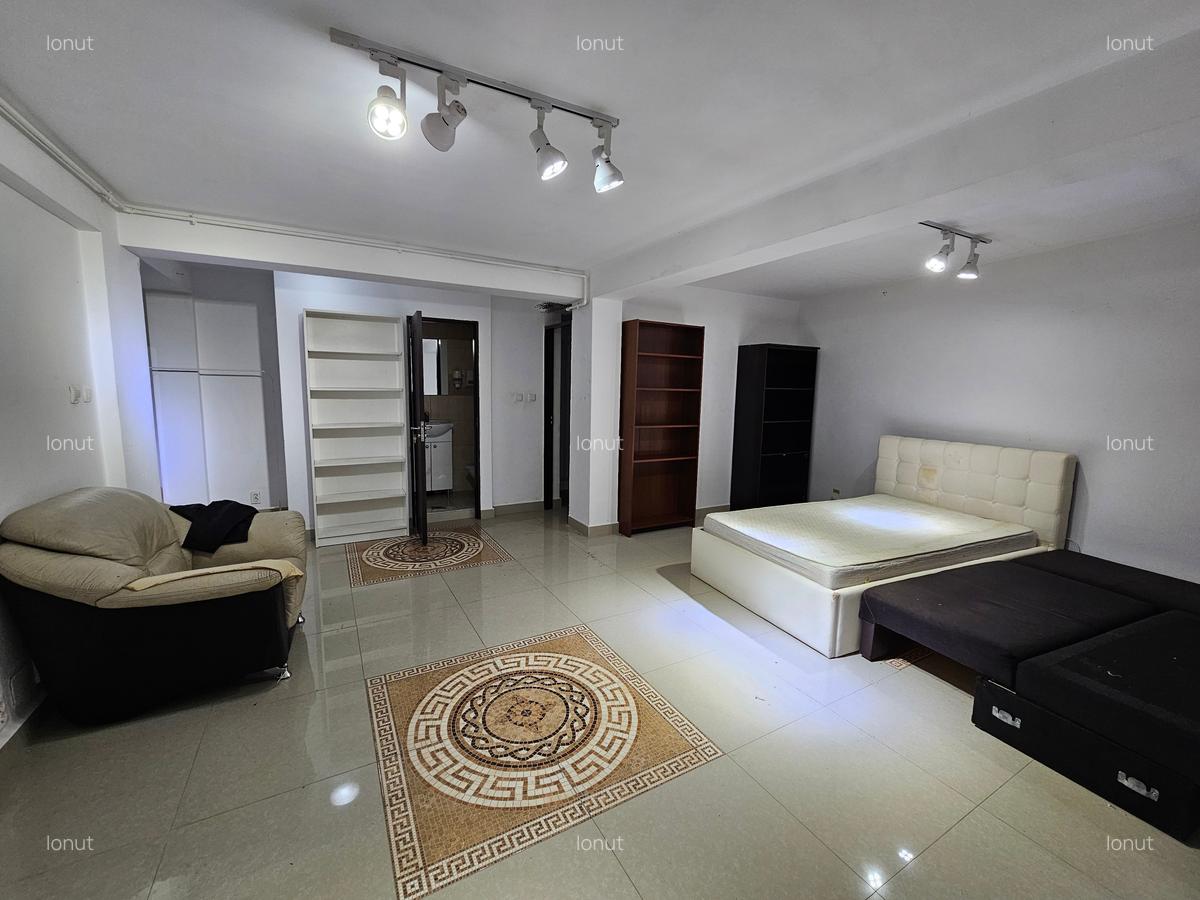 Spatiu comercial de inchiriat Iancului - 7
