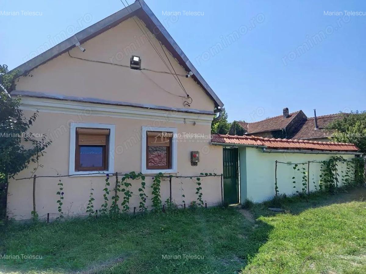 Ilidia, Casa de Vacanta, 3 Camere, 899mp Teren, Usor Negociabil - 3